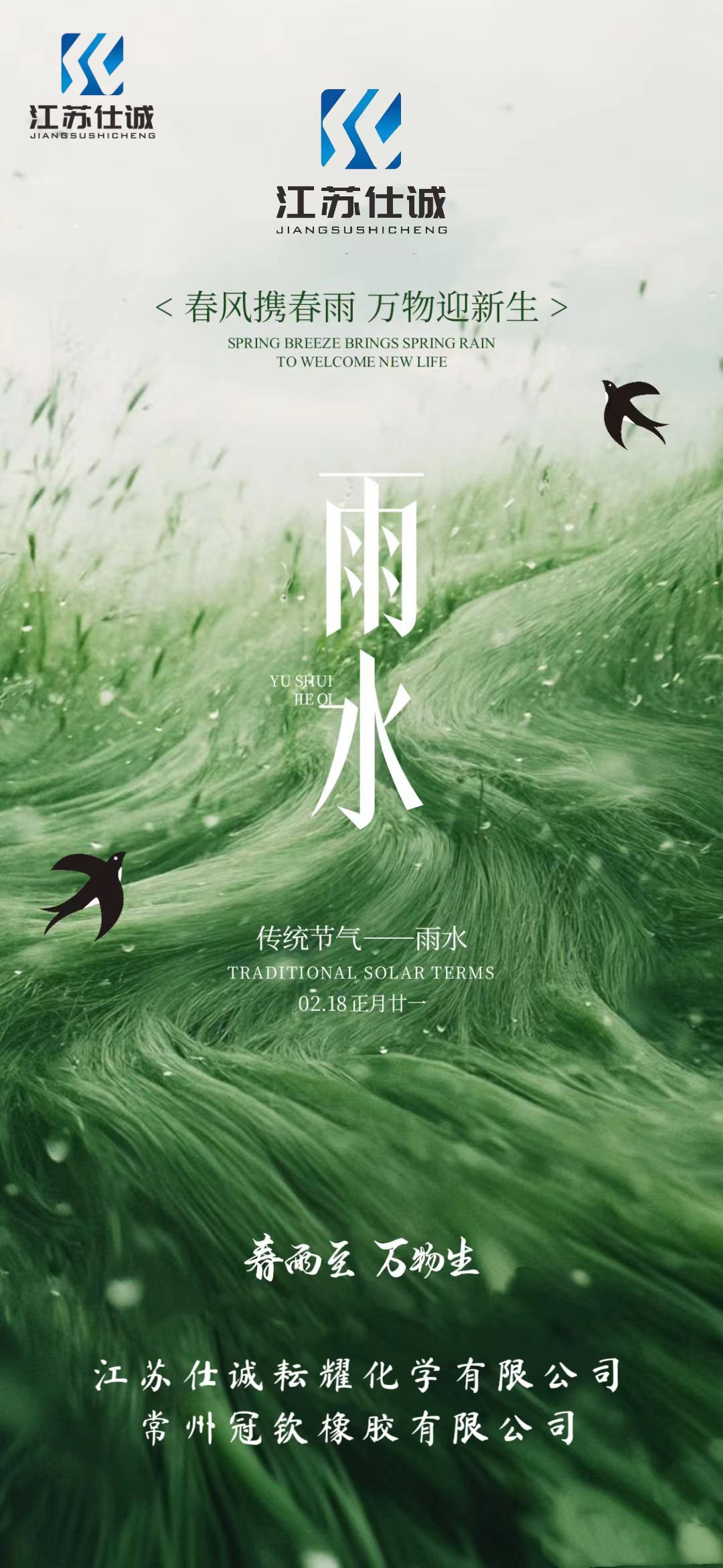 2025/2/18 雨水